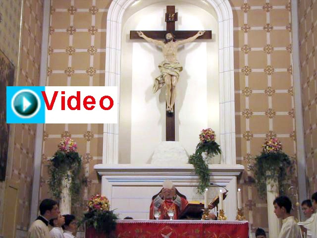 IMG_0856-VIDEO